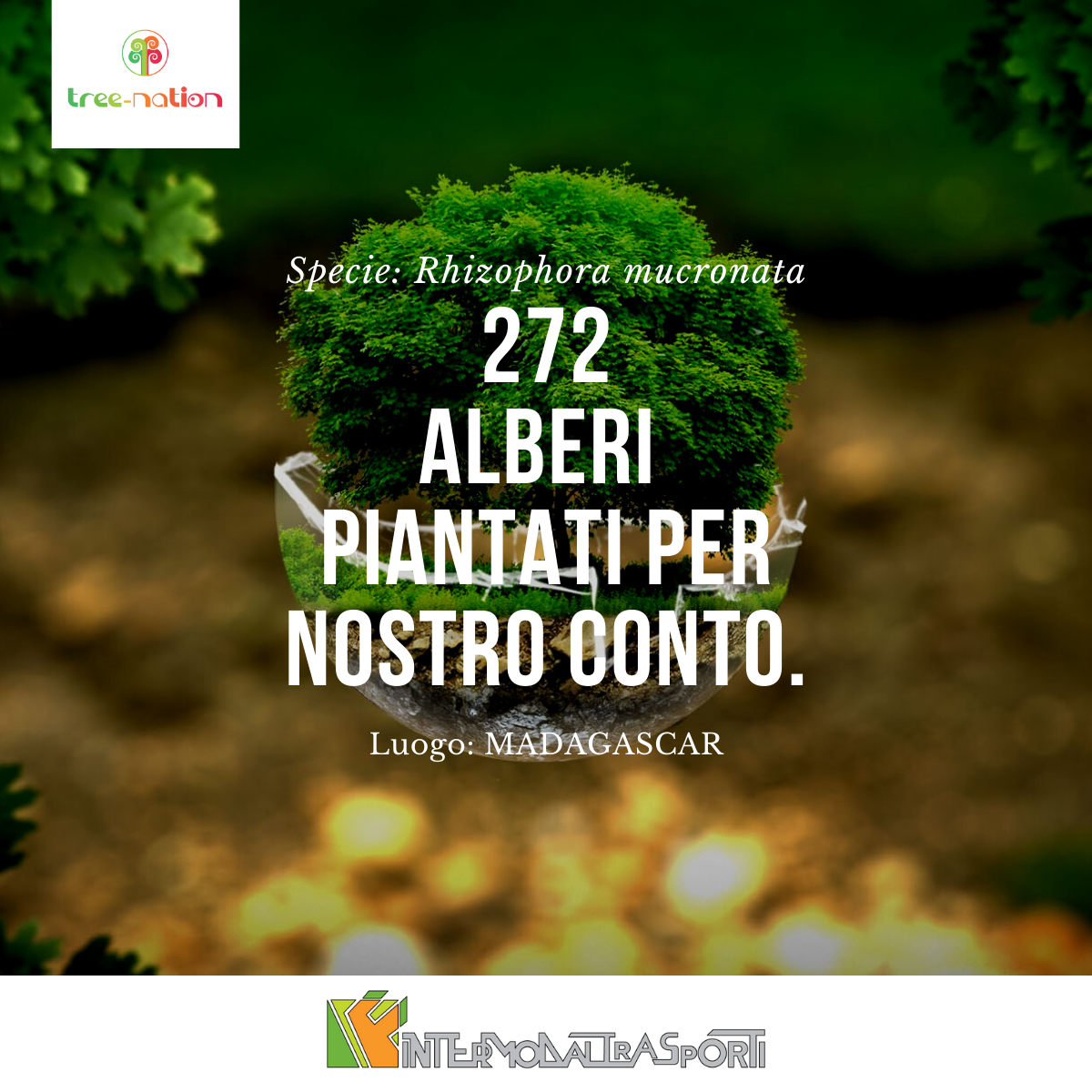 272 alberi piantati, uno per ogni collaboratore.